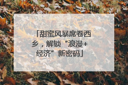 甜蜜风暴席卷西乡，解锁“浪漫+经济”新密码